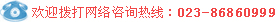 咨询电话:023-86860999